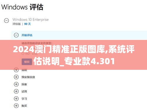 2024澳门精准正版图库,系统评估说明_专业款4.301