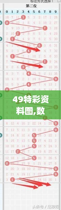 49特彩资料图,数据驱动计划_4DM13.555