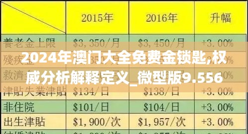 2024年澳门大全免费金锁匙,权威分析解释定义_微型版9.556