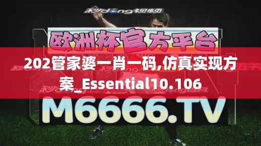 202管家婆一肖一码,仿真实现方案_Essential10.106