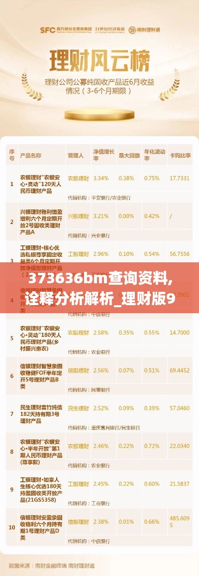 373636bm查询资料,诠释分析解析_理财版9.536