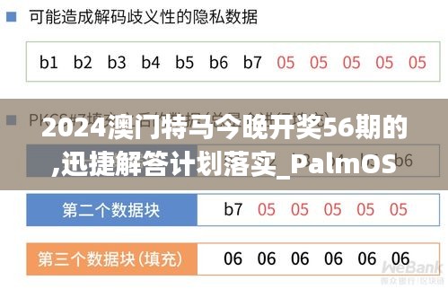 2024澳门特马今晚开奖56期的,迅捷解答计划落实_PalmOS10.943