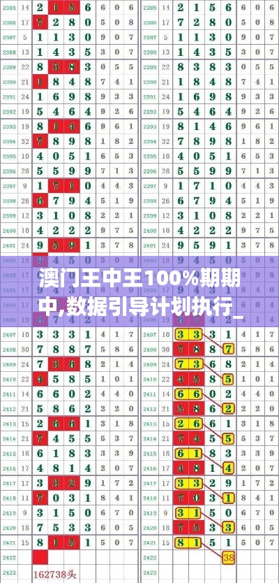 澳门王中王100%期期中,数据引导计划执行_储蓄版10.913