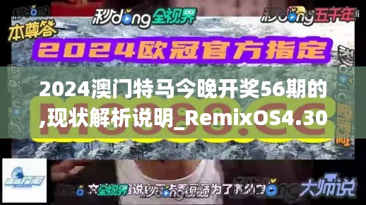 2024澳门特马今晚开奖56期的,现状解析说明_RemixOS4.308