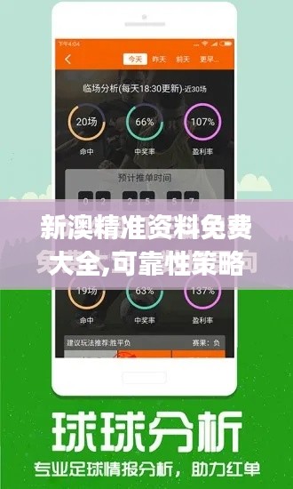 新澳精准资料免费大全,可靠性策略解析_Galaxy9.582