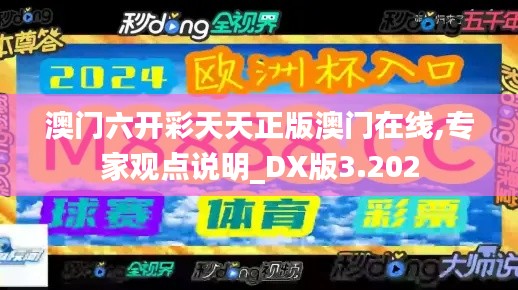 澳门六开彩天天正版澳门在线,专家观点说明_DX版3.202