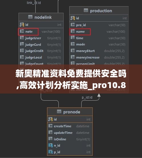 新奥精准资料免费提供安全吗,高效计划分析实施_pro10.830