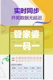 管家婆一码一肖100准343期,绝对经典解释落实_Pixel18.313