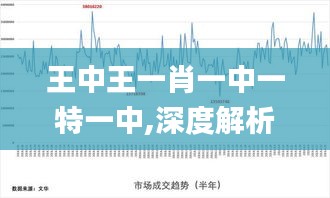 王中王一肖一中一特一中,深度解析数据应用_WP14.560