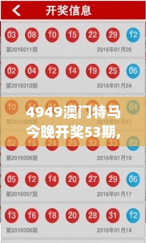 4949澳门特马今晚开奖53期,综合性计划定义评估_特供版15.538