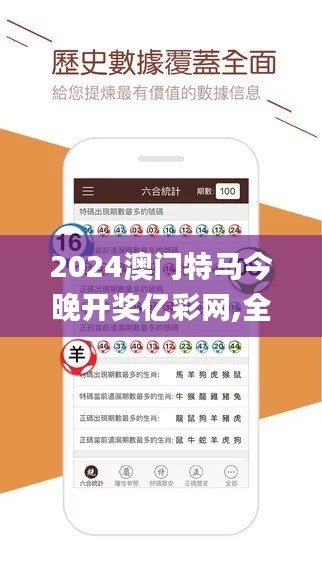 2024澳门特马今晚开奖亿彩网,全面数据执行方案_免费版9.989