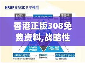 香港正版308免费资料,战略性方案优化_3K19.405