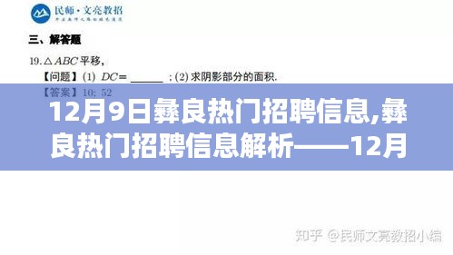 12月9日彝良热门招聘信息精选概览