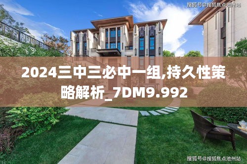 2024三中三必中一组,持久性策略解析_7DM9.992