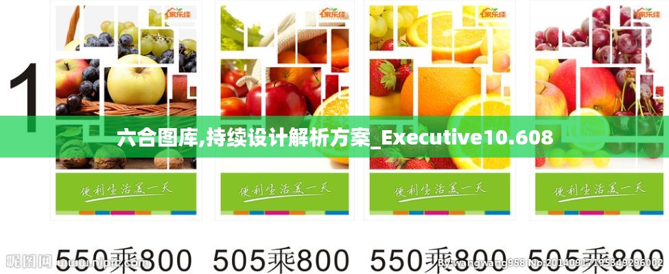 六合图库,持续设计解析方案_Executive10.608