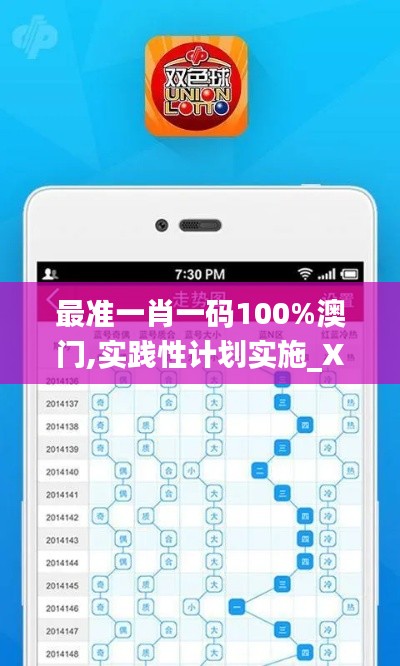 最准一肖一码100%澳门,实践性计划实施_X版1.574