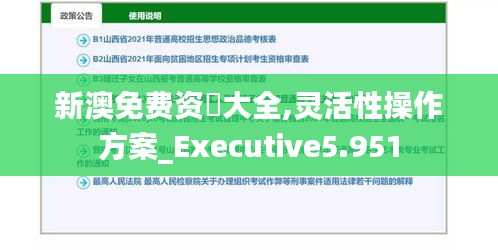 新澳免费资枓大全,灵活性操作方案_Executive5.951