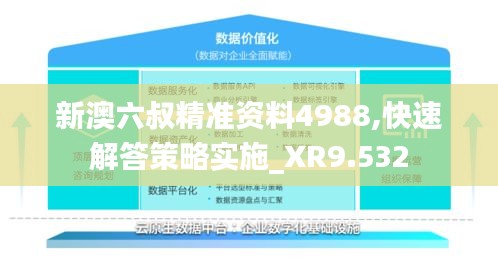 新澳六叔精准资料4988,快速解答策略实施_XR9.532