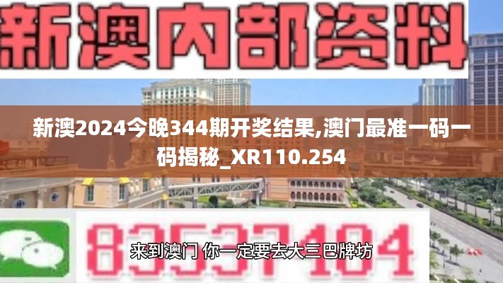 新澳2024今晚344期开奖结果,澳门最准一码一码揭秘_XR110.254