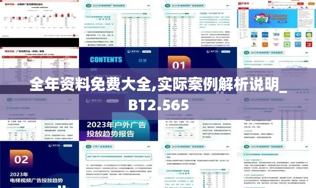 全年资料免费大全,实际案例解析说明_BT2.565