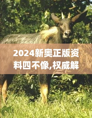 2024新奥正版资料四不像,权威解析说明_WP19.858