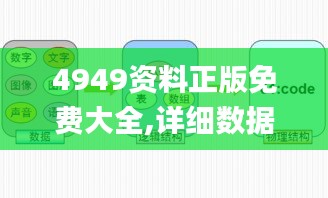 4949资料正版免费大全,详细数据解释定义_冒险款10.730