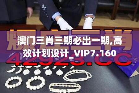 澳门三肖三期必出一期,高效计划设计_VIP7.160