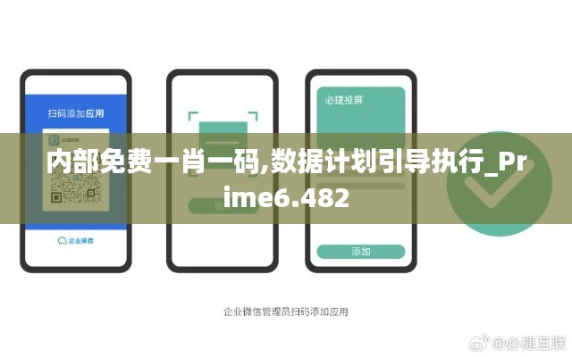 内部免费一肖一码,数据计划引导执行_Prime6.482