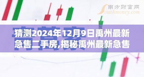 揭秘禹州最新急售二手房，预测热门房源一览（2024年12月9日）