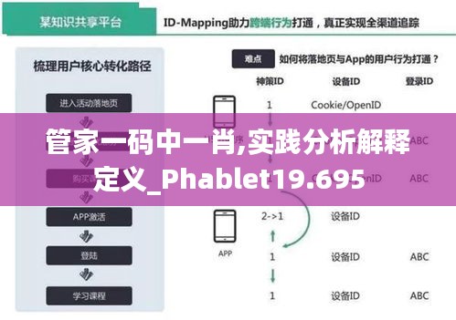 管家一码中一肖,实践分析解释定义_Phablet19.695