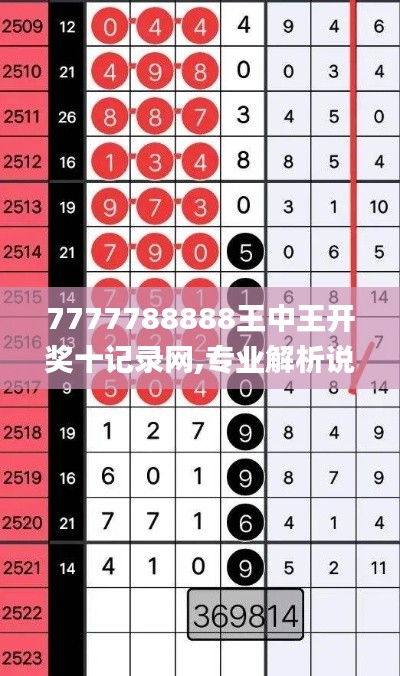 7777788888王中王开奖十记录网,专业解析说明_pack1.163