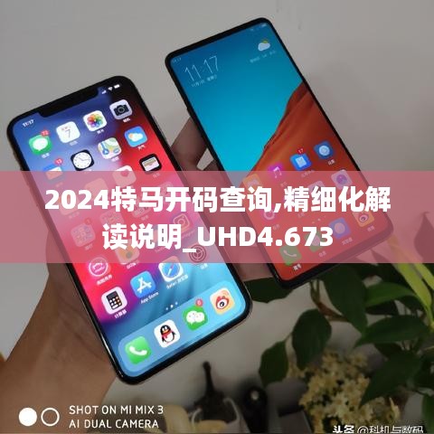 2024特马开码查询,精细化解读说明_UHD4.673