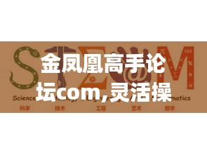 金凤凰高手论坛com,灵活操作方案_set2.740