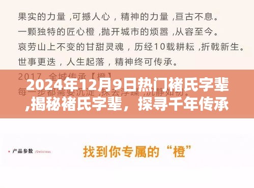 揭秘热门褚氏字辈，千年传承一览，2024年12月9日热门榜单揭晓