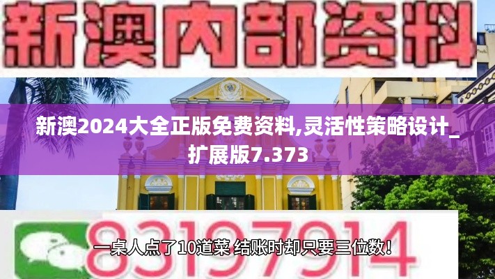 新澳2024大全正版免费资料,灵活性策略设计_扩展版7.373