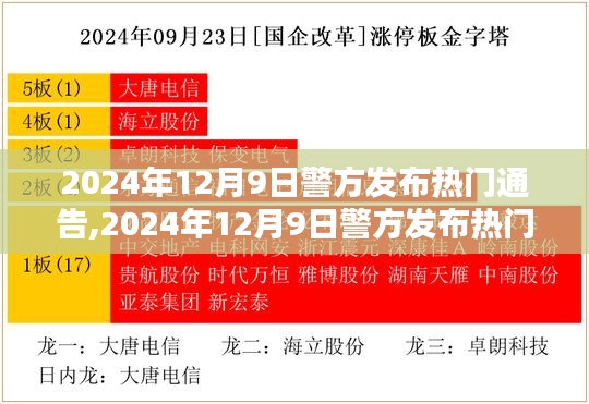 社会治安新形势下的多元治理策略探析，警方发布热门通告解析与行动指南（2024年12月9日）