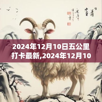 坚持的力量与生活的美好交织，2024年12月10日五公里打卡新篇章开启