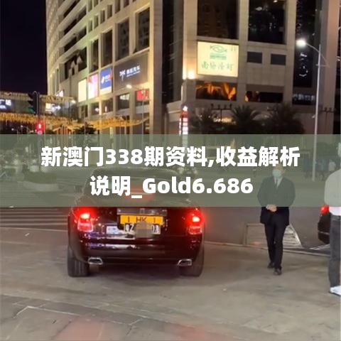 新澳门338期资料,收益解析说明_Gold6.686