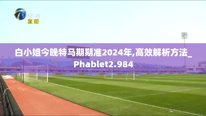 白小姐今晚特马期期准2024年,高效解析方法_Phablet2.984