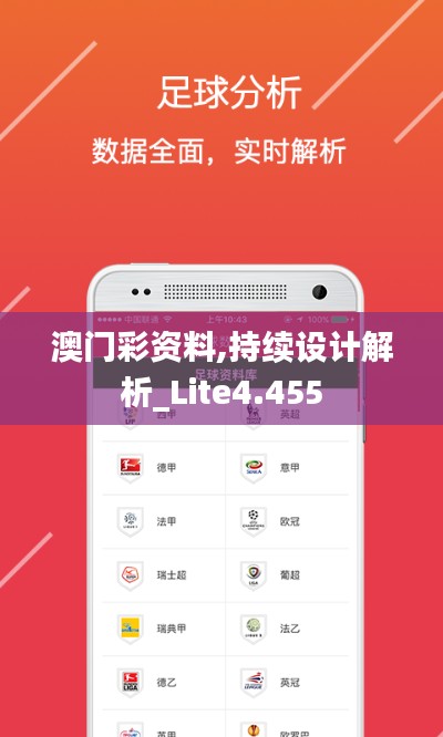 澳门彩资料,持续设计解析_Lite4.455