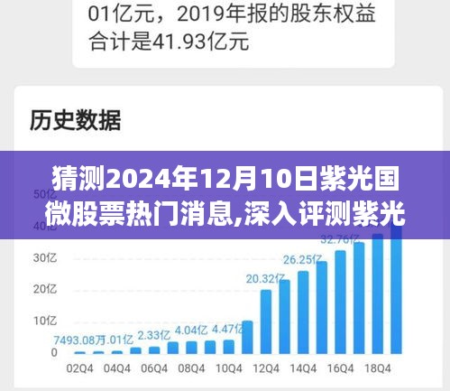 紫光国微股票前景深度分析，热门消息及预测（2024年12月10日）