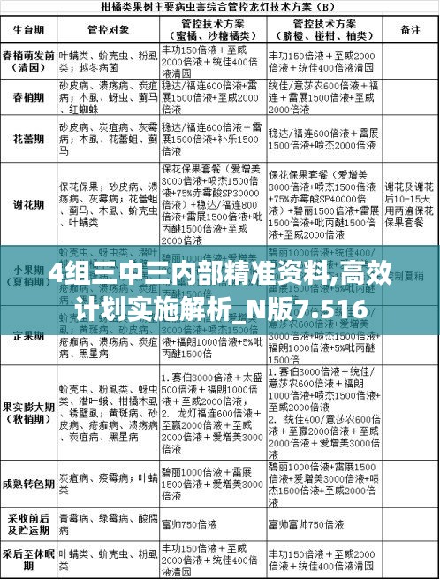 4组三中三内部精准资料,高效计划实施解析_N版7.516