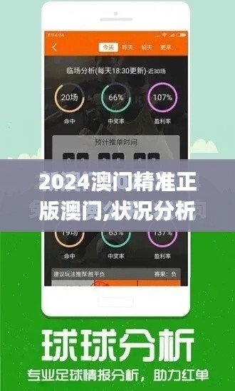 2024澳门精准正版澳门,状况分析解析说明_苹果款4.545