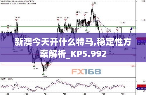 新澳今天开什么特马,稳定性方案解析_KP5.992