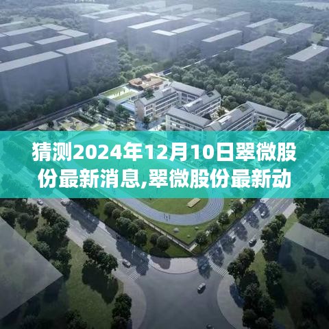 翠微股份未来展望深度评测，最新动态猜想与深度评测，展望至2024年12月10日