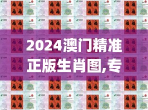 2024澳门精准正版生肖图,专家解答解释定义_WP版8.783