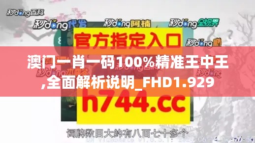 澳门一肖一码100%精准王中王,全面解析说明_FHD1.929