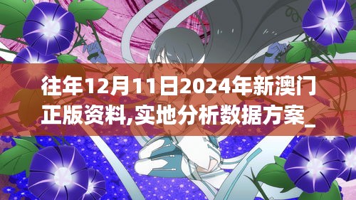 往年12月11日2024年新澳门正版资料,实地分析数据方案_桌面版3.712