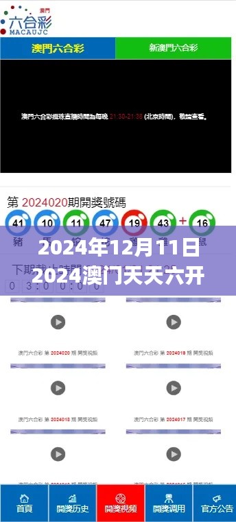 2024年12月11日2024澳门天天六开奖怎么玩,动态评估说明_3D5.231