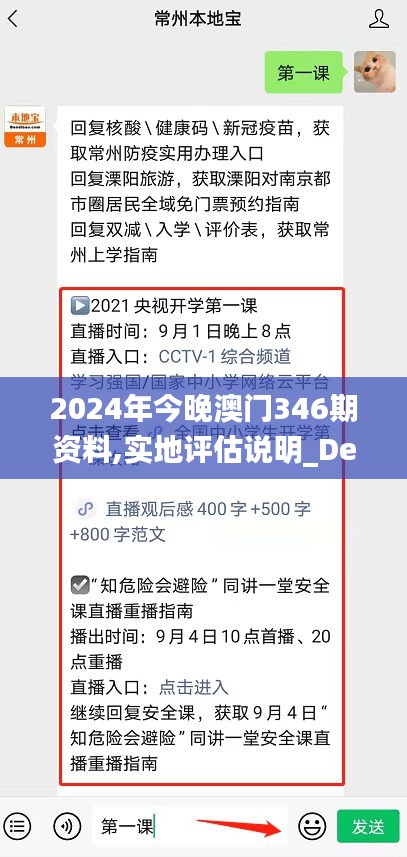 2024年今晚澳门346期资料,实地评估说明_Deluxe5.265